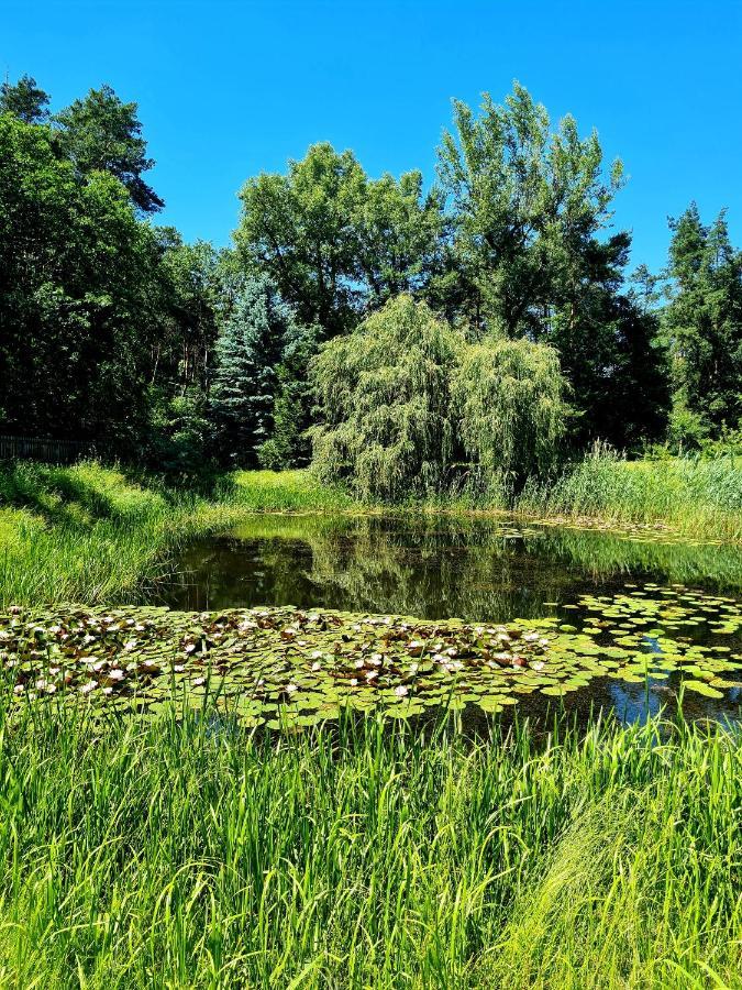 فيلا Wrzosowe Siedlisko Czosnów المظهر الخارجي الصورة
